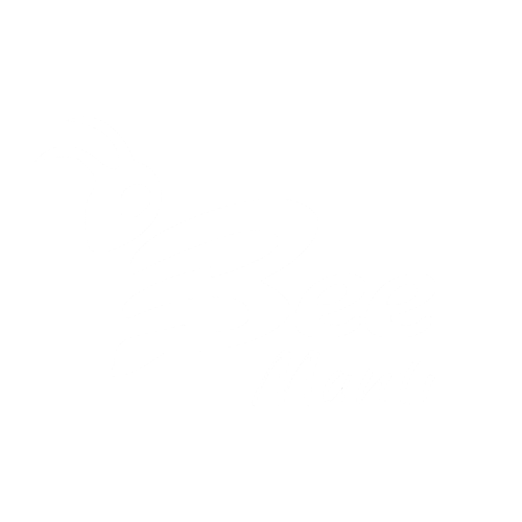 Bee Mantı
